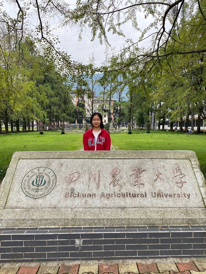 1603424199101016247.jpg 四川农业大学校门.jpg